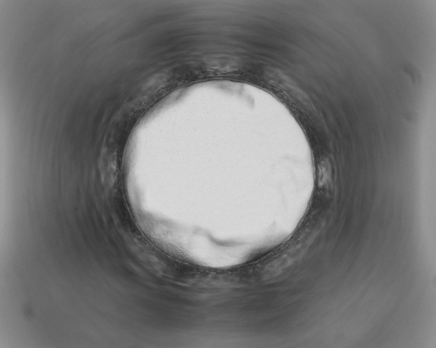 X0000113991011200910161642