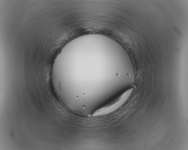 X0000113991012200910161642