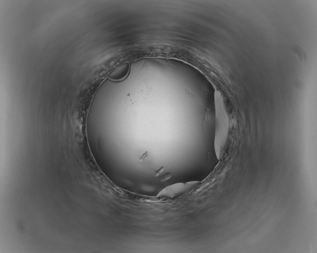 X0000113991013200910161642