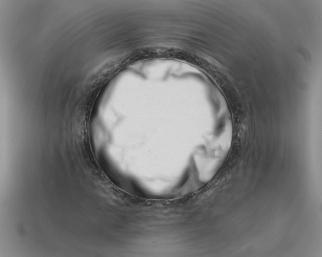 X0000113991014200910161642