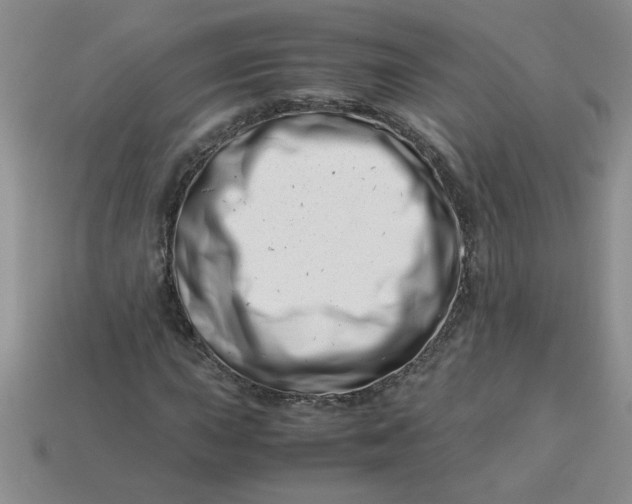 X0000113991015200910161642