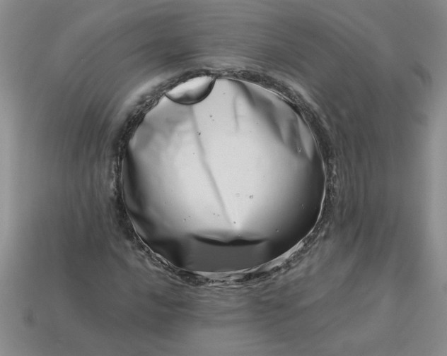 X0000113991016200910161642