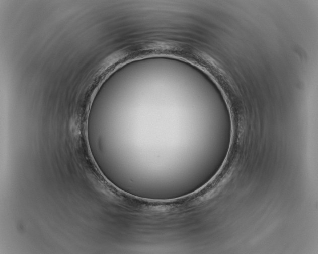 X0000113991017200910161642