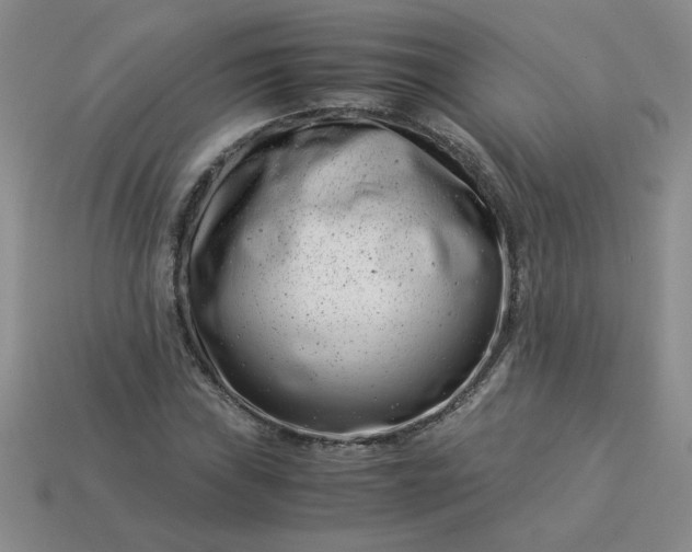 X0000113991019200910161642