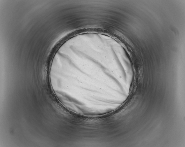 X0000113991021200910161642