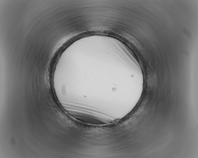 X0000113991022200910161642