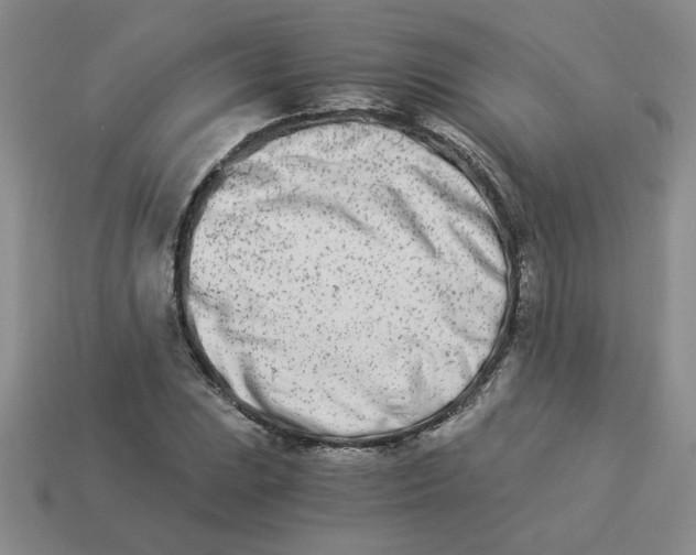 X0000113991023200910161642