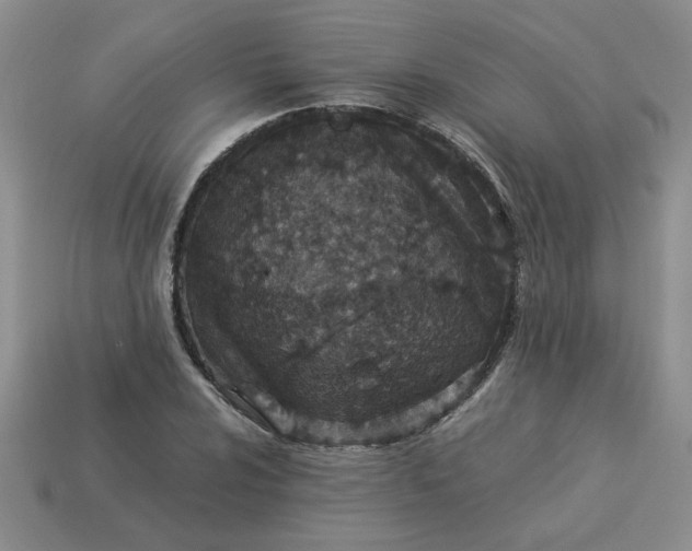 X0000113991024200910161642