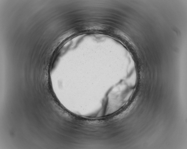 X0000113991025200910161642