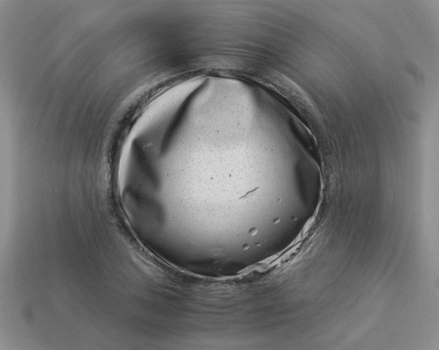 X0000113991027200910161642