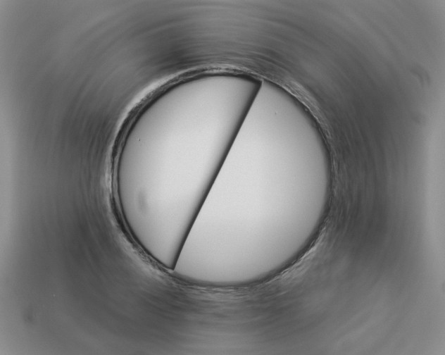 X0000113991028200910161642