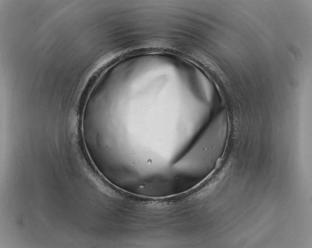 X0000113991029200910161642