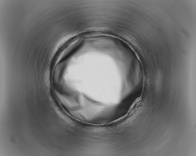 X0000113991030200910161642