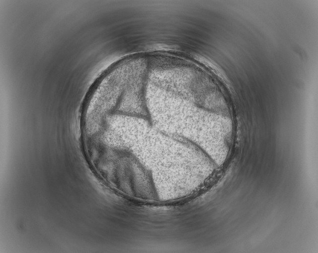 X0000113991031200910161642