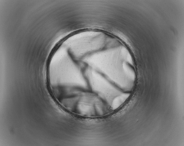 X0000113991032200910161642