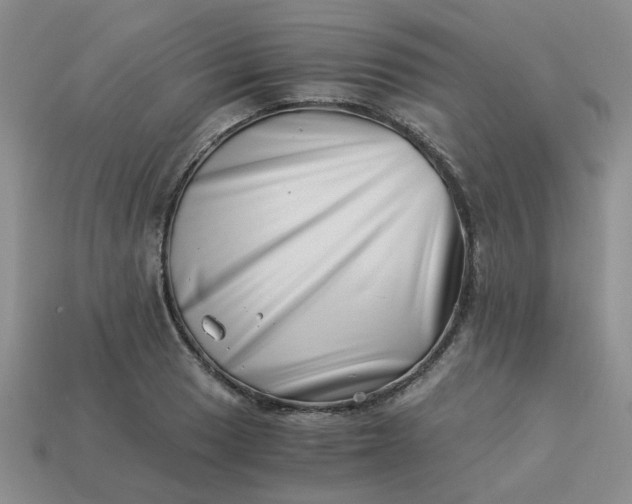 X0000113991033200910161642