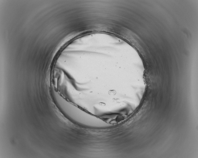 X0000113991036200910161642