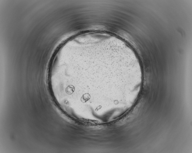 X0000113991037200910161642