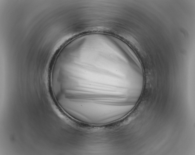 X0000113991038200910161642