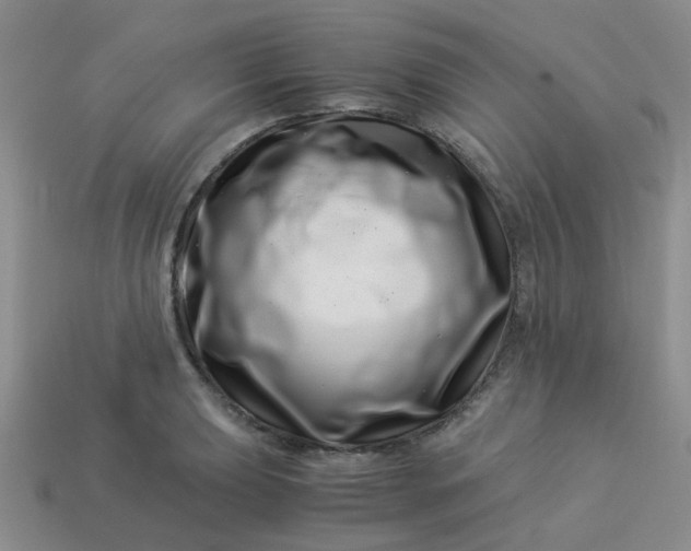 X0000113991039200910161642