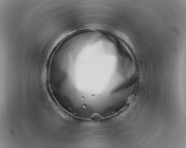 X0000113991040200910161642