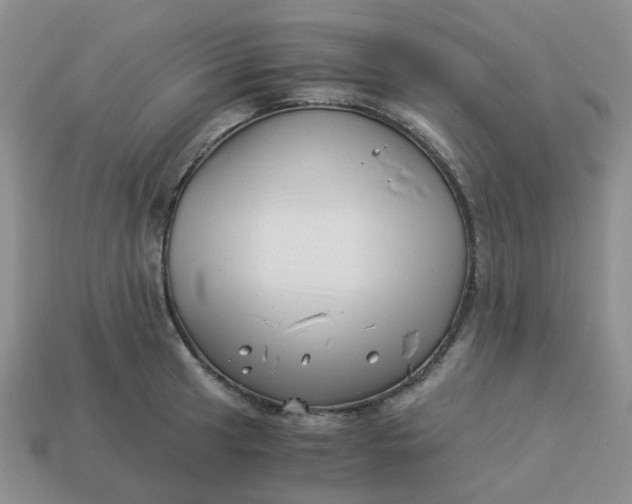 X0000113991041200910161642