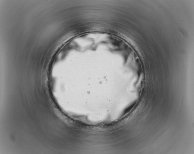 X0000113991042200910161642