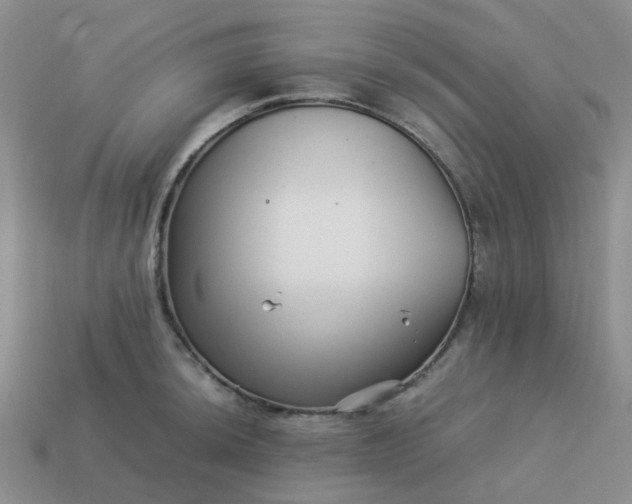 X0000113991044200910161642