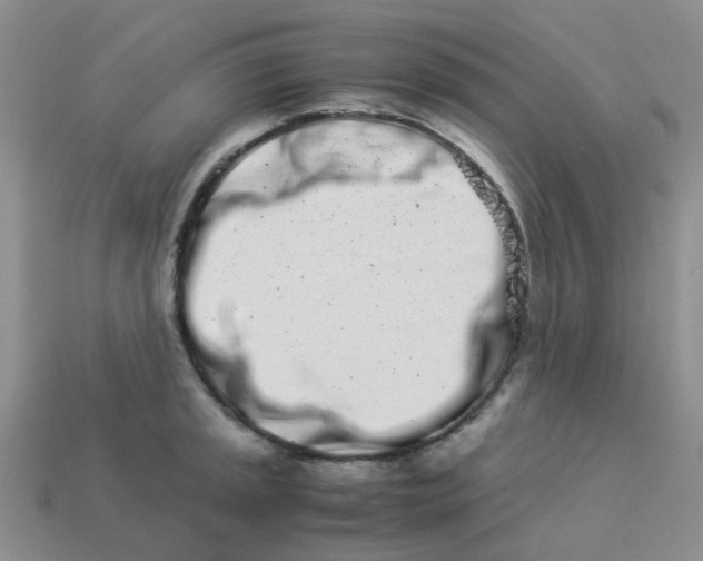 X0000113991045200910161642