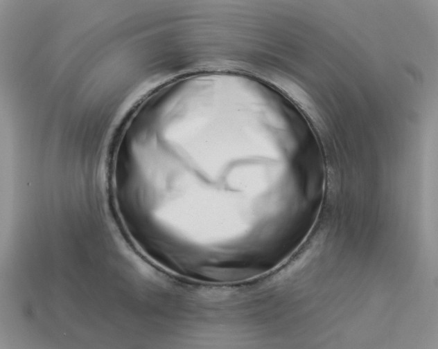 X0000113991046200910161642