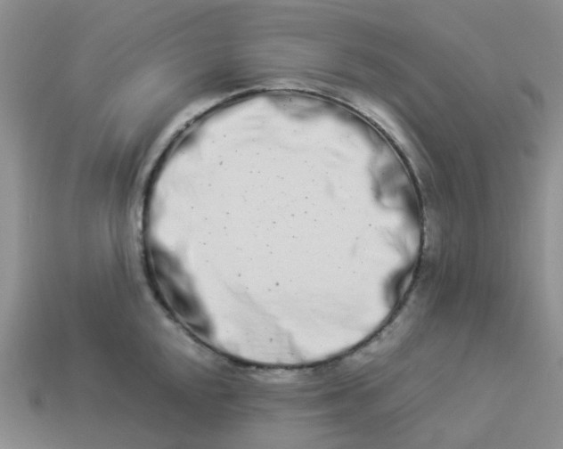 X0000113991048200910161642