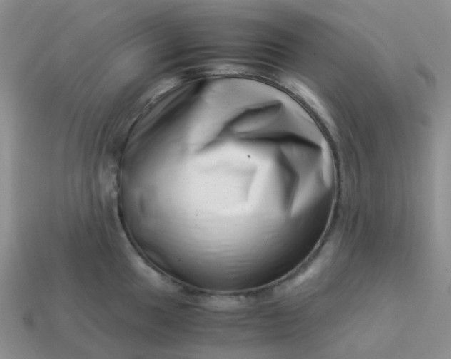 X0000113991049200910161642