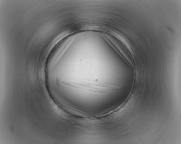 X0000113991050200910161642