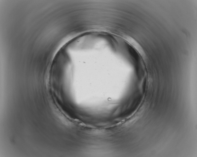 X0000113991052200910161642