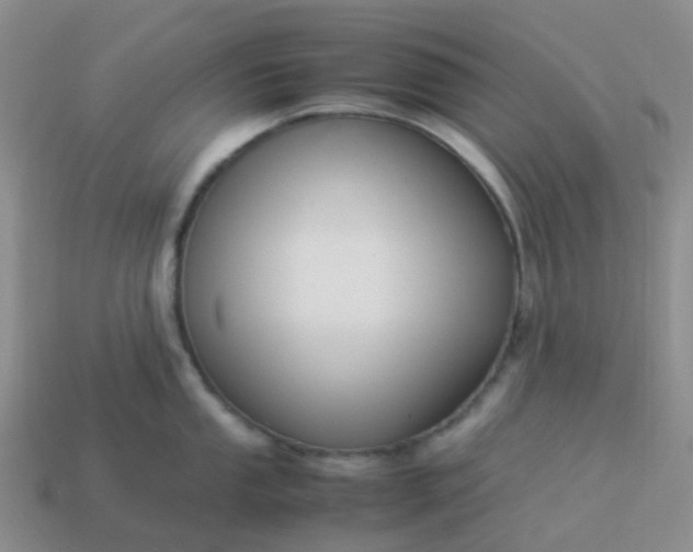 X0000113991053200910161642