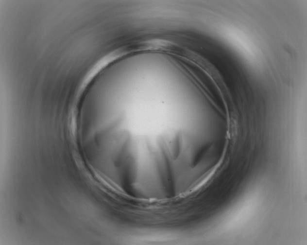 X0000113991054200910161642