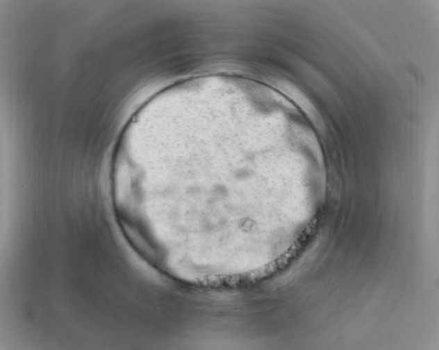 X0000113991055200910161642