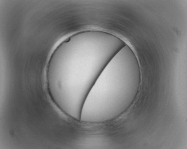 X0000113991056200910161642