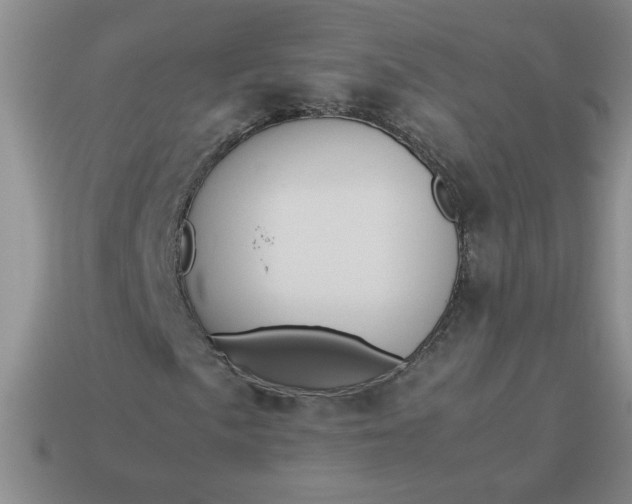 X0000113991057200910161641