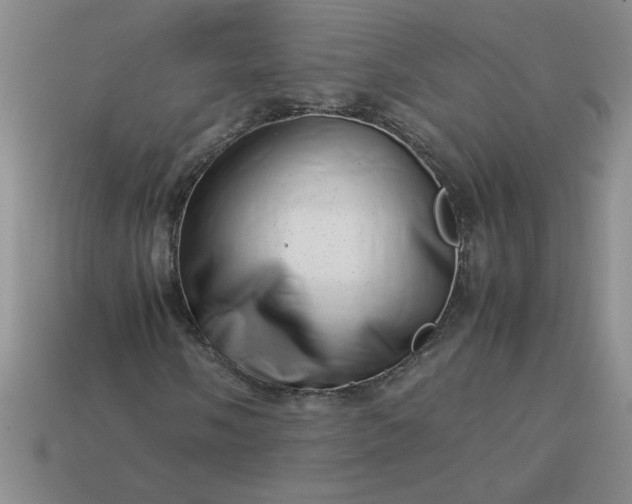 X0000113991058200910161641