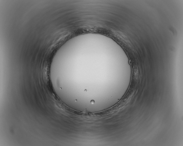 X0000113991060200910161641