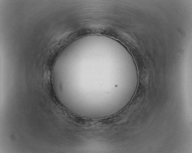 X0000113991061200910161641