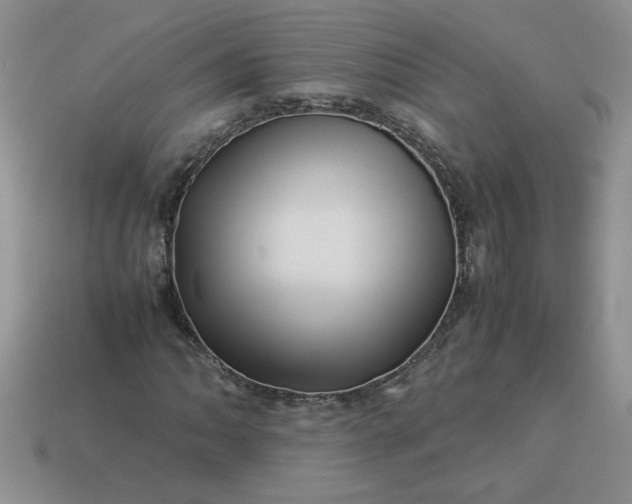 X0000113991062200910161641