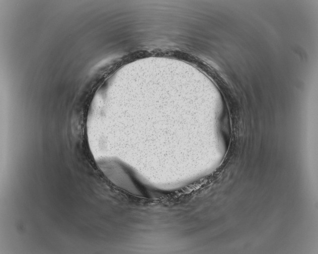 X0000113991063200910161641