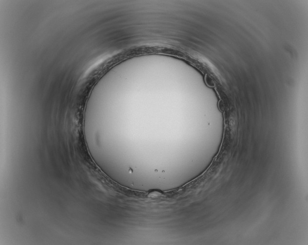 X0000113991064200910161641