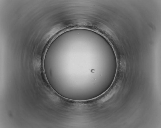 X0000113991065200910161641