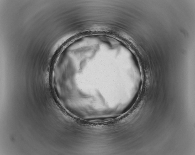 X0000113991066200910161641