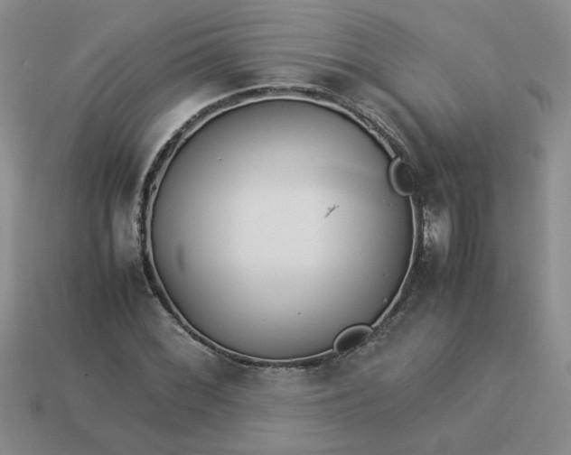 X0000113991068200910161641