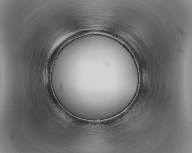 X0000113991069200910161641