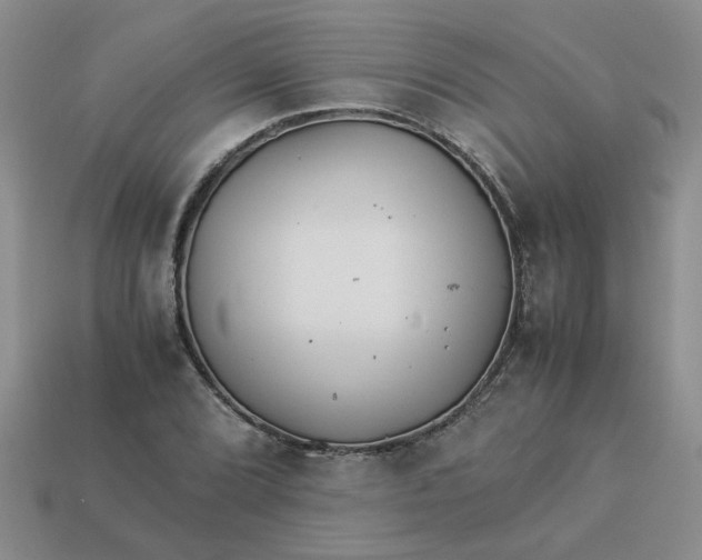 X0000113991072200910161641